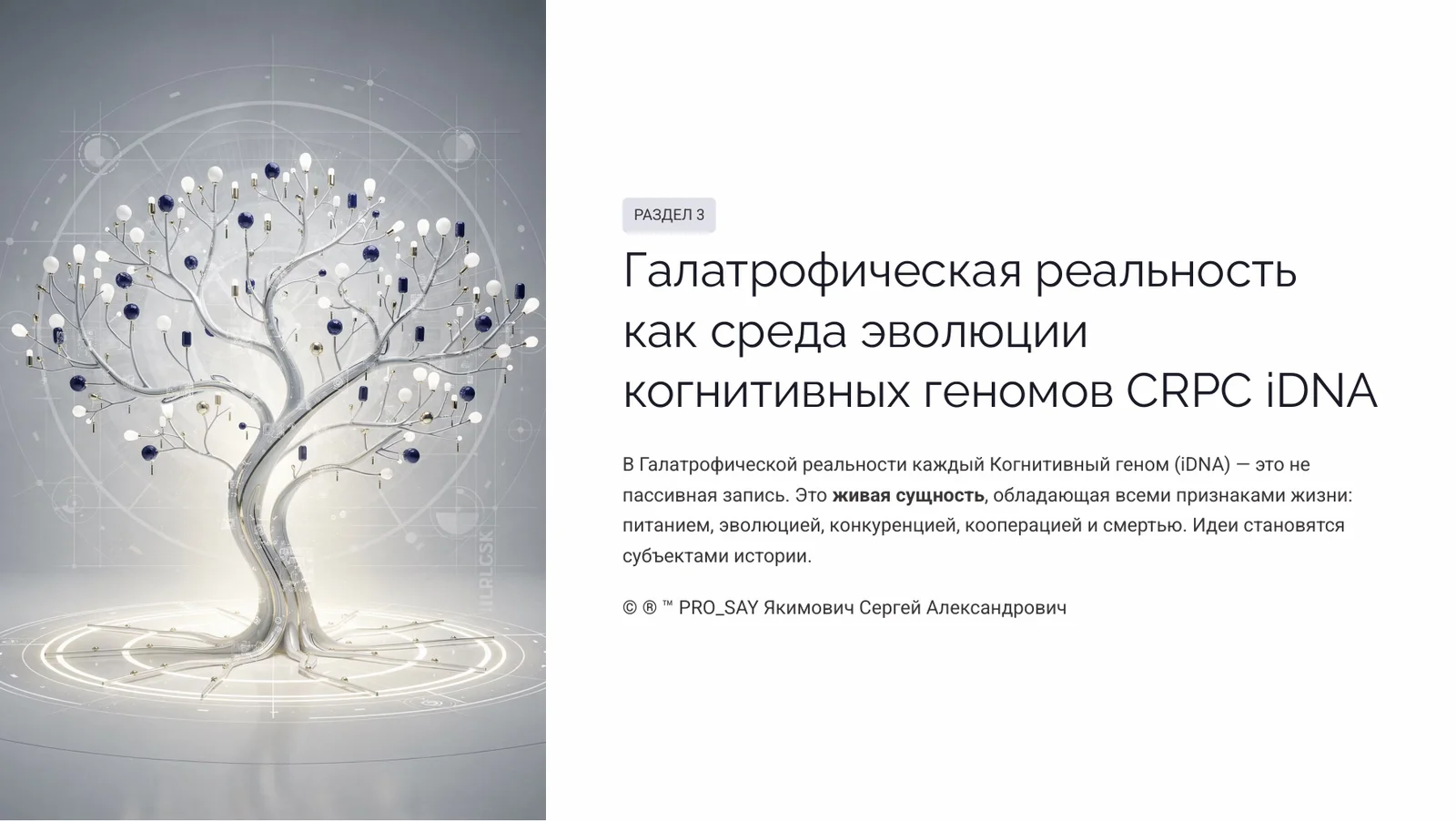 Галатрофическая реальность — слайд 13