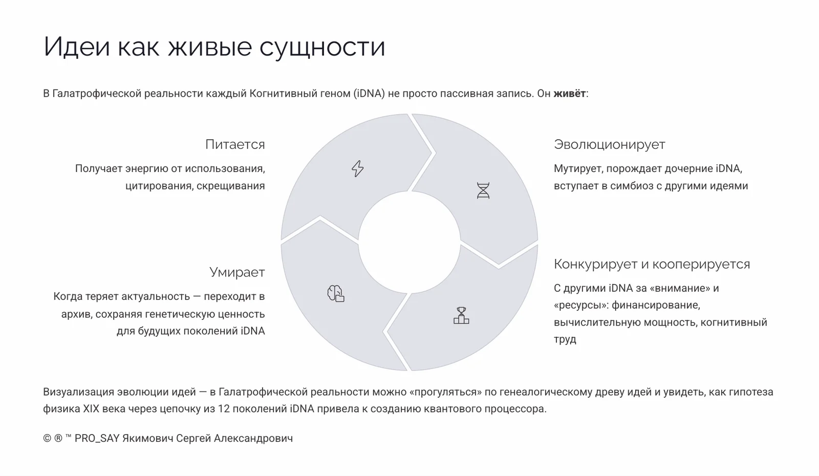 Галатрофическая реальность — слайд 14