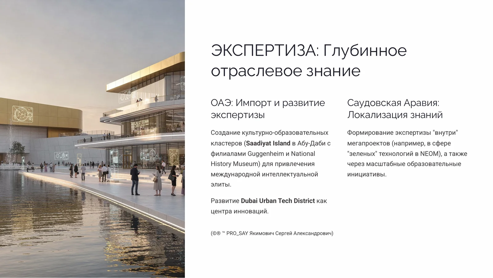 OAE & KSA Стратегическая архитектура развития государств Персидского залива — слайд 12