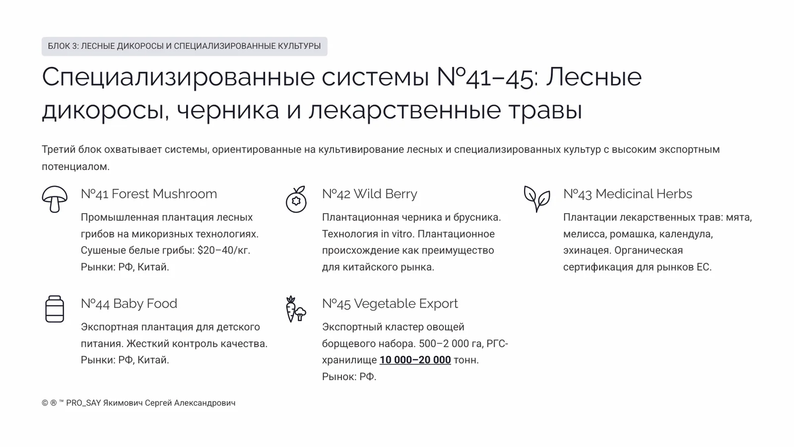 Комплексные Экспортно-ориентированные системы бизнеса полного цикла — слайд 16
