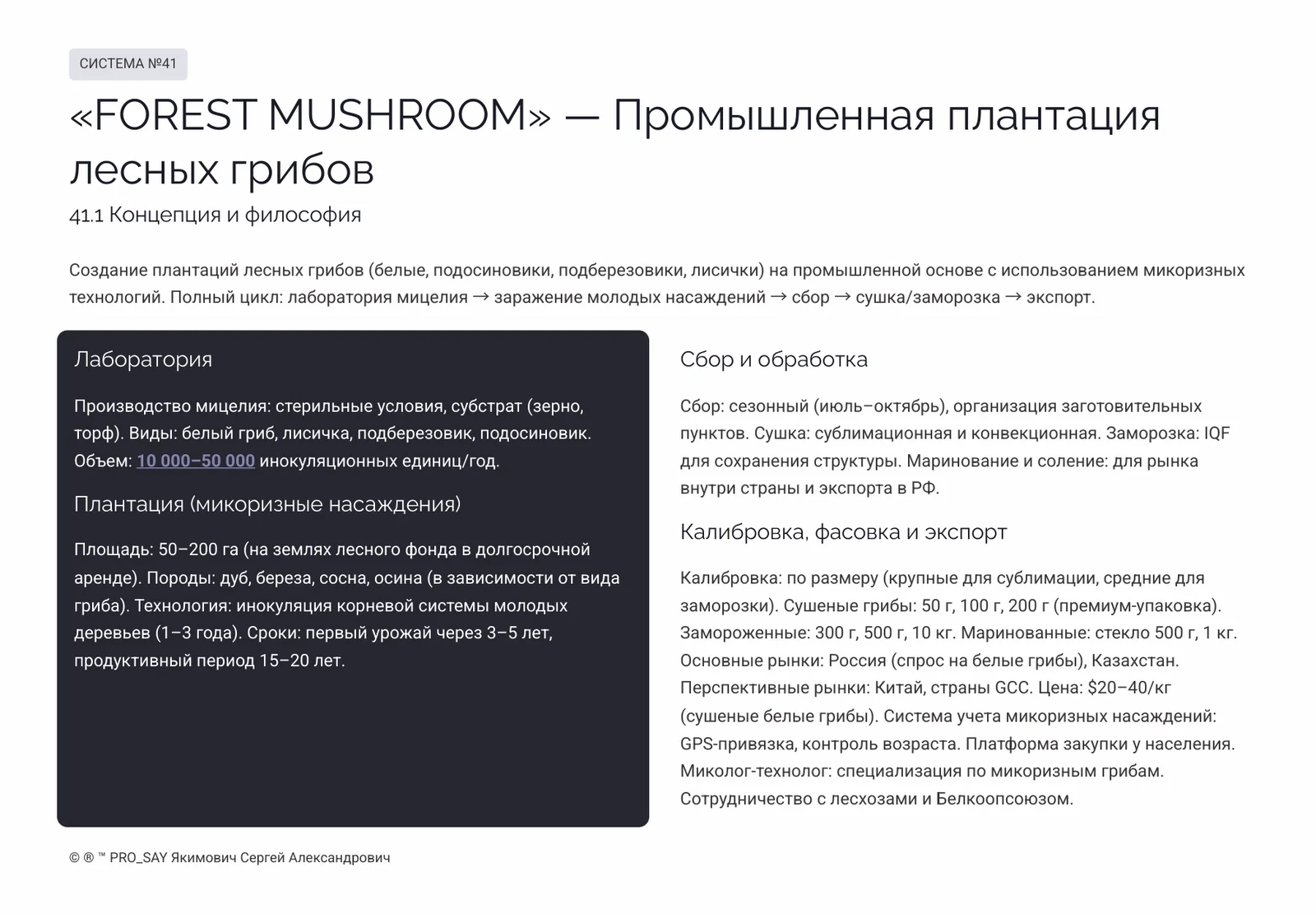 Комплексные Экспортно-ориентированные системы бизнеса полного цикла — слайд 17