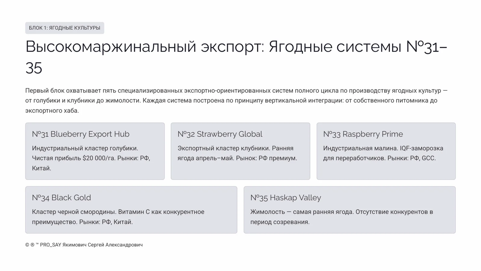 Комплексные Экспортно-ориентированные системы бизнеса полного цикла — слайд 3